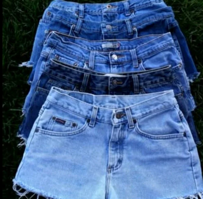 Assorted Denim Shorts Bundle